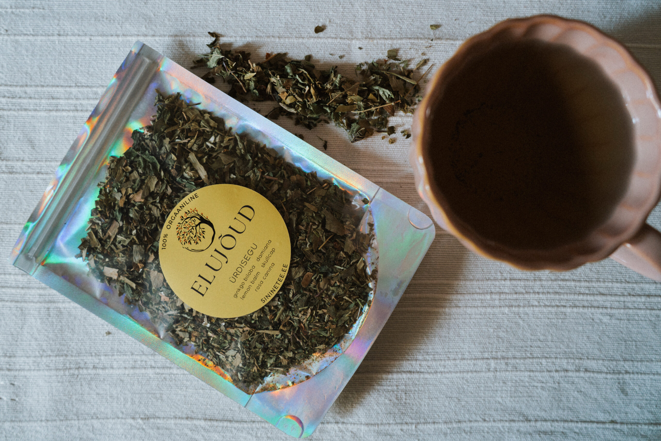 623D1481 225F 44A4 B592 E843872D6D46 Scaled